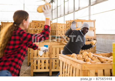 Two positive farmers are indulging during a break at work 87565448