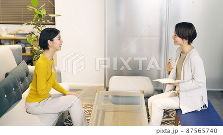 相談する女性　カウンセリング　セラピー 87565740