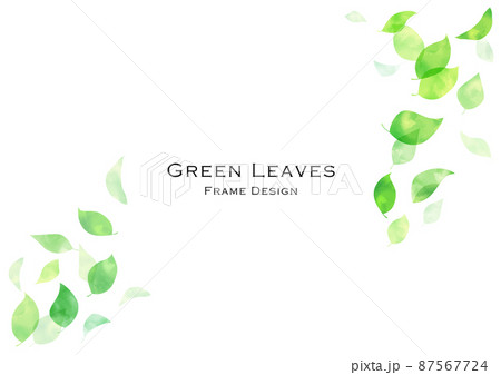 水彩　手書き　新緑フレーム　背景 87567724