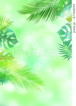 新緑 葉 観葉植物 背景 新緑 葉 観葉植物 背景 87568095