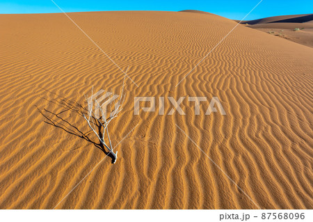 Erg Chebbi, sand desert of Merzouga, southeast of Morocco. Popular destination for travellers. Erg Chebbi, sand desert of Merzouga, southeast of Morocco. Popular destination for travellers. 87568096