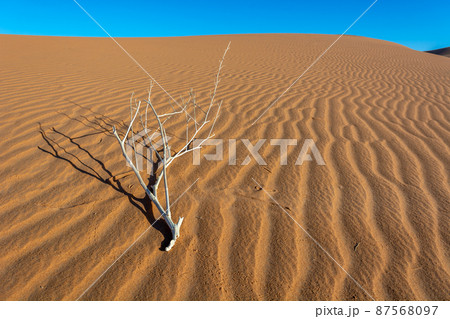 Erg Chebbi, sand desert of Merzouga, southeast of Morocco. Popular destination for travellers. Erg Chebbi, sand desert of Merzouga, southeast of Morocco. Popular destination for travellers. 87568097