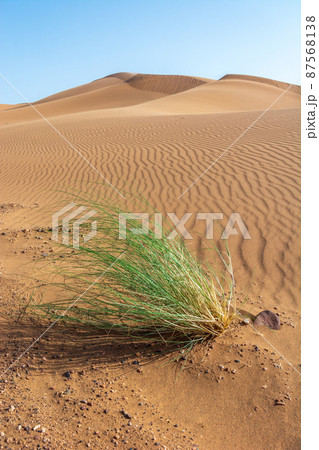 Erg Chebbi, sand desert of Merzouga, southeast of Morocco. Popular destination for travellers. 87568138