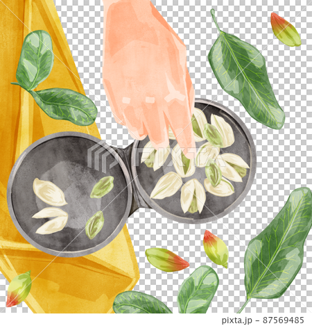Hand drawn watercolor style illustration of pistachio Hand drawn watercolor style illustration of pistachio 87569485