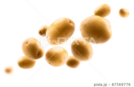 Golden potatoes levitate on a white background 87569776
