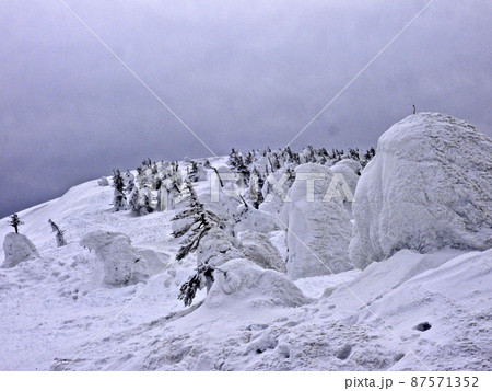 山形蔵王・地蔵岳 東斜面の樹氷 山形蔵王・地蔵岳 東斜面の樹氷 87571352