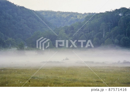 朝霧の漂う田ノ原湿原 87571416