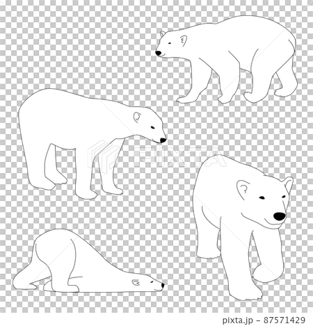 北極熊北極熊線描單色簡單插圖集 北極熊北極熊線描單色簡單插圖集 87571429