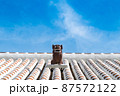 Shisa symbol of Okinawa Lion on original Ryukyu architecture roof art Okinawa island Japan 87572122