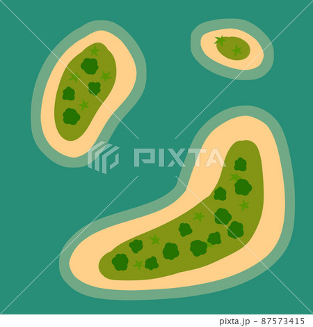 Tropical island. View from top. South sea and ocean. Green forest with trees. 87573415