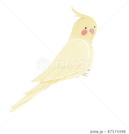 pastel cockatiel