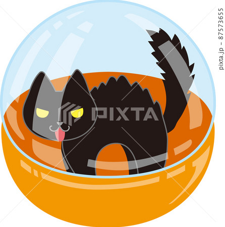 ガチャポンカプセルに入った毛を逆立てた黒猫 87573655