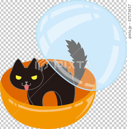 Black cat with upright hair in Gachapon capsule _ capsule half-open 87573657