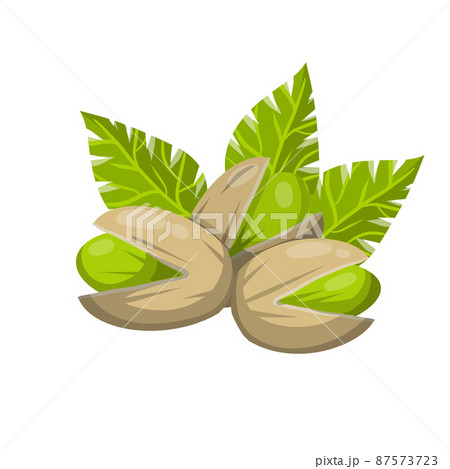 Pistachios. Vector Green nuts in their shells. 87573723
