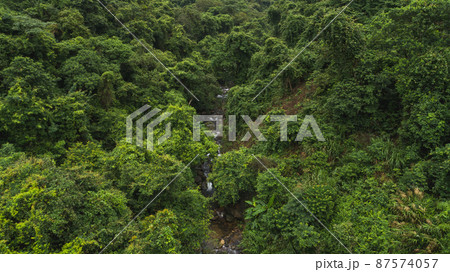 Beautiful lush green jungle with small river and dense trees on tropical mountains on summer morning Beautiful lush green jungle with small river and dense trees on tropical mountains on summer morning 87574057