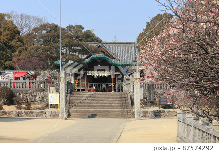 早春の「滝宮天満宮」拝殿 87574292