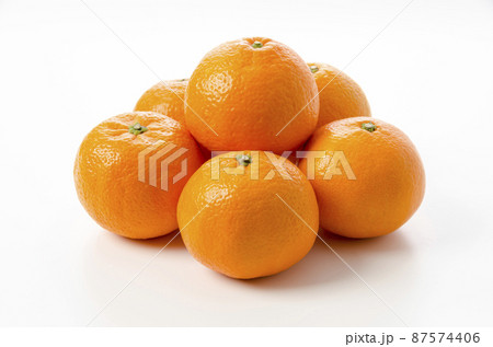 いよかん イヨカン 伊予柑 87574406