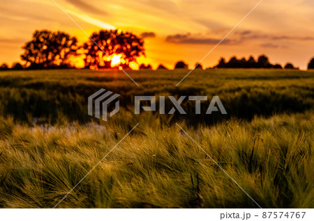 Beautiful sunset in central Belgium 87574767