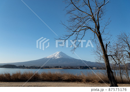 湖畔から富士山を眺める 河口湖 湖畔から富士山を眺める 河口湖 87575176