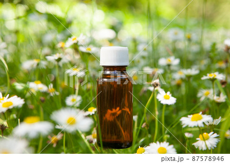 Essential herbs, oil and camomile flowers. Camomile - natural healing oil. Essential herbs, oil and camomile flowers. Camomile - natural healing oil. 87578946
