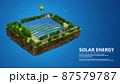 Solar panels green energy plantation 87579787
