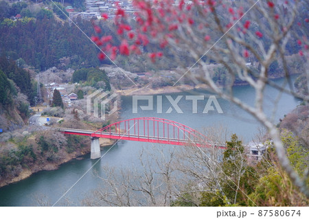 月ヶ瀬梅林・眼下の名張川 87580674