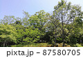 風土記の丘：青葉萌ゆる季節に古代を偲ぶ 87580705