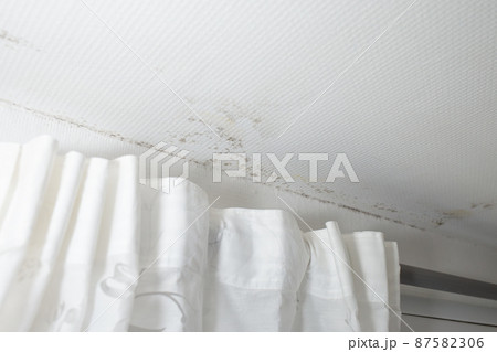 gray mold on the ceiling and walls, dampness in the house gray mold on the ceiling and walls, dampness in the house 87582306