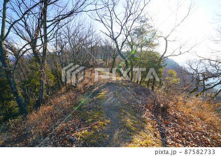青陰城本丸より二の丸を望む2 広島県尾道市因島 青陰城本丸より二の丸を望む2 広島県尾道市因島 87582733