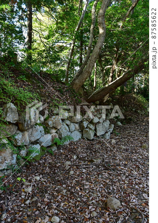 観音寺城072 87585622