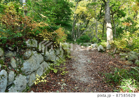 観音寺城079 87585629