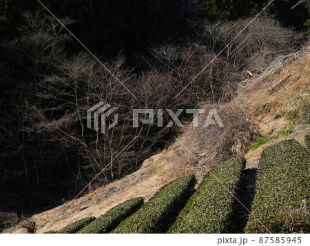 神奈川県 相模原市 藤野町佐野川 神奈川県 相模原市 藤野町佐野川 87585945