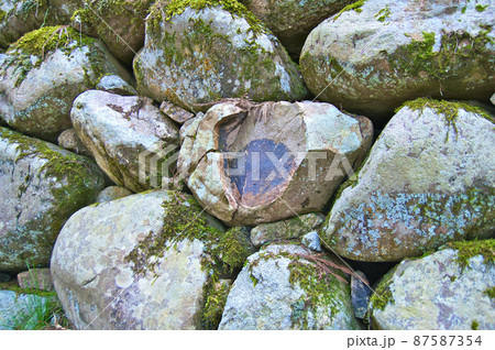 春の七尾城【石川県】 春の七尾城【石川県】 87587354