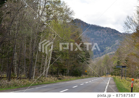 山の中の路 87587587