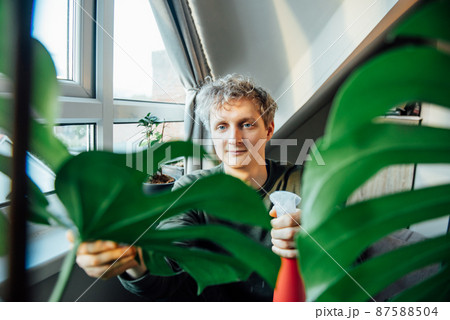 Young Man spraying monstera house plant at home. Home gardening hobby. Biophilia lifestyle, home jungles. Selective focus. Copy space 87588504