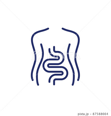Intestines, colon line icon on white 87588664