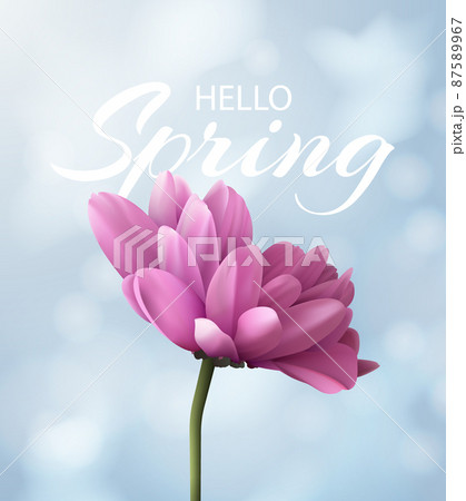 Hello spring banner with realistic pink chrysanthemum flower on a blurred blue background with bokeh. Vector illustration. Hello spring banner with realistic pink chrysanthemum flower on a blurred blue background with bokeh. Vector illustration. 87589967