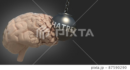 Wrecking ball with Hatred text damages human brain. Conceptual 3D rendering Wrecking ball with Hatred text damages human brain. Conceptual 3D rendering 87590290
