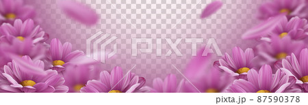 3d background with realistic pink chrysanthemum flowers and falling petals. Vector illustration 3d background with realistic pink chrysanthemum flowers and falling petals. Vector illustration 87590378