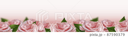 Realistic pink 3d rose flowers on white background. Vector illustration Realistic pink 3d rose flowers on white background. Vector illustration 87590379