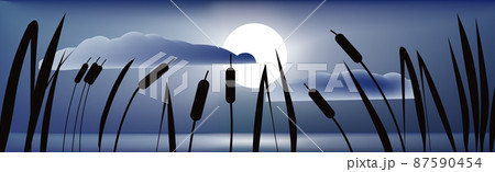 Night panoramic landscape of reeds on the background of the sunset 87590454