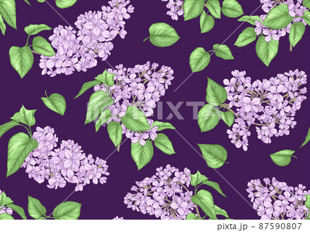 Seamless background with lilac flowers. Seamless background with lilac flowers. 87590807