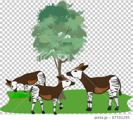 Cute okapi parent and child 87591295