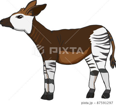 Cute okapi - Stock Illustration [87591297] - PIXTA