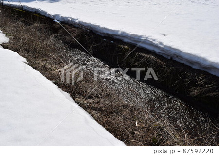 豪雪地域の雪溶け風景 豪雪地域の雪溶け風景 87592220