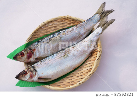 雪の上の生ニシン 87592821