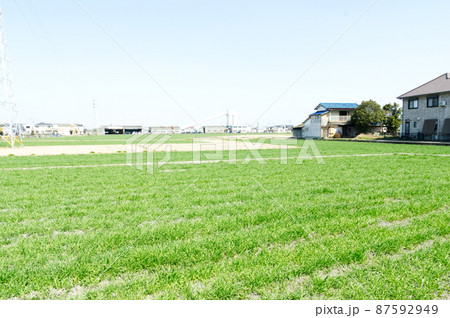 住宅と田園の融合 87592949