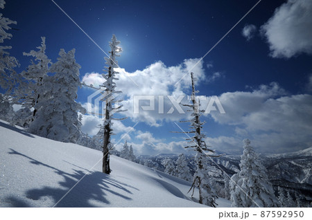 冬の八甲田山・斜面 87592950