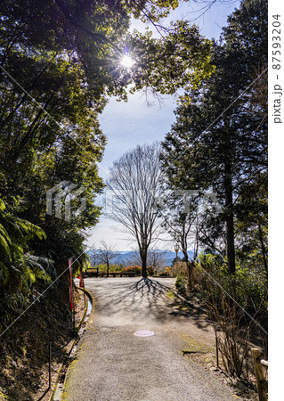 日龍峯寺境内参道の景色 87593204