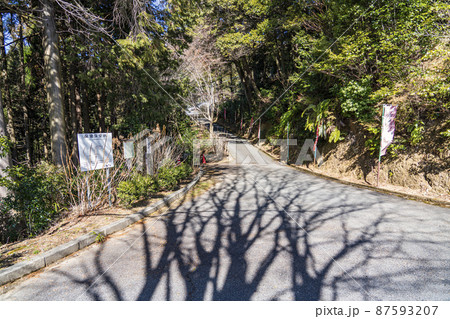 日龍峯寺境内参道の景色 日龍峯寺境内参道の景色 87593207